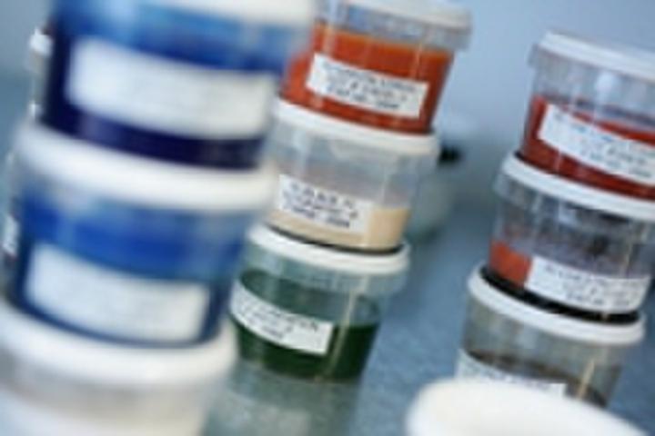 Polymer inks used in medical devices.